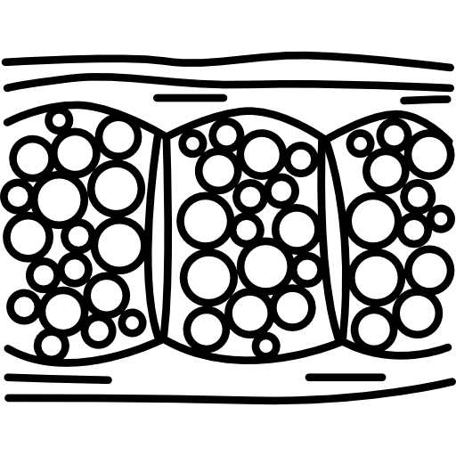 Cellulite | الموقع الالكتروني للدكتورة اسماء حجازي Cellulite | الموقع الالكتروني للدكتورة اسماء حجازي